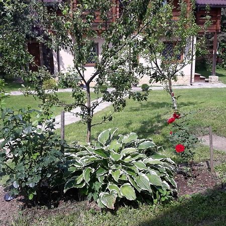 У Тарнавських Mykulyčyn Exteriér fotografie